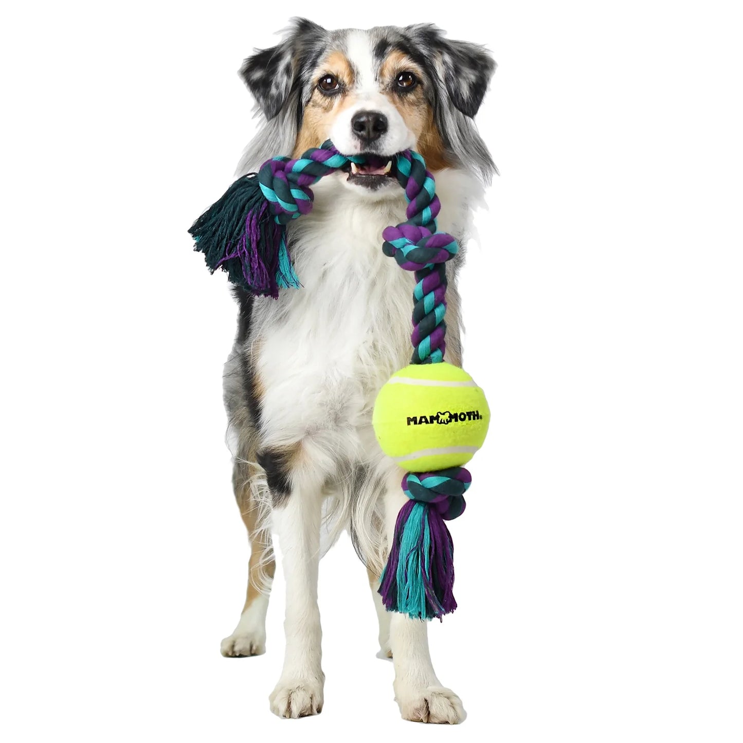 Flossy Chews Cottonblend 3 Knot Tug Rope Dog Toy with 3” Tennis Ball, Medium 20", Assorted Colors