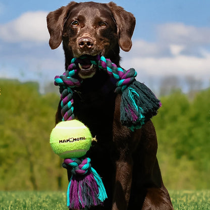 Flossy Chews Cottonblend 3 Knot Tug Rope Dog Toy with 3” Tennis Ball, Medium 20", Assorted Colors