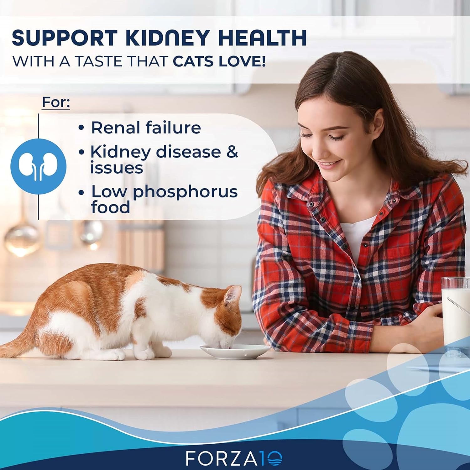 Wet Cat Food Kidney RENAL ACTIWET with Lamb 3.5Oz, Adult Cat Food Wet, Renal Support Canned Cat Food