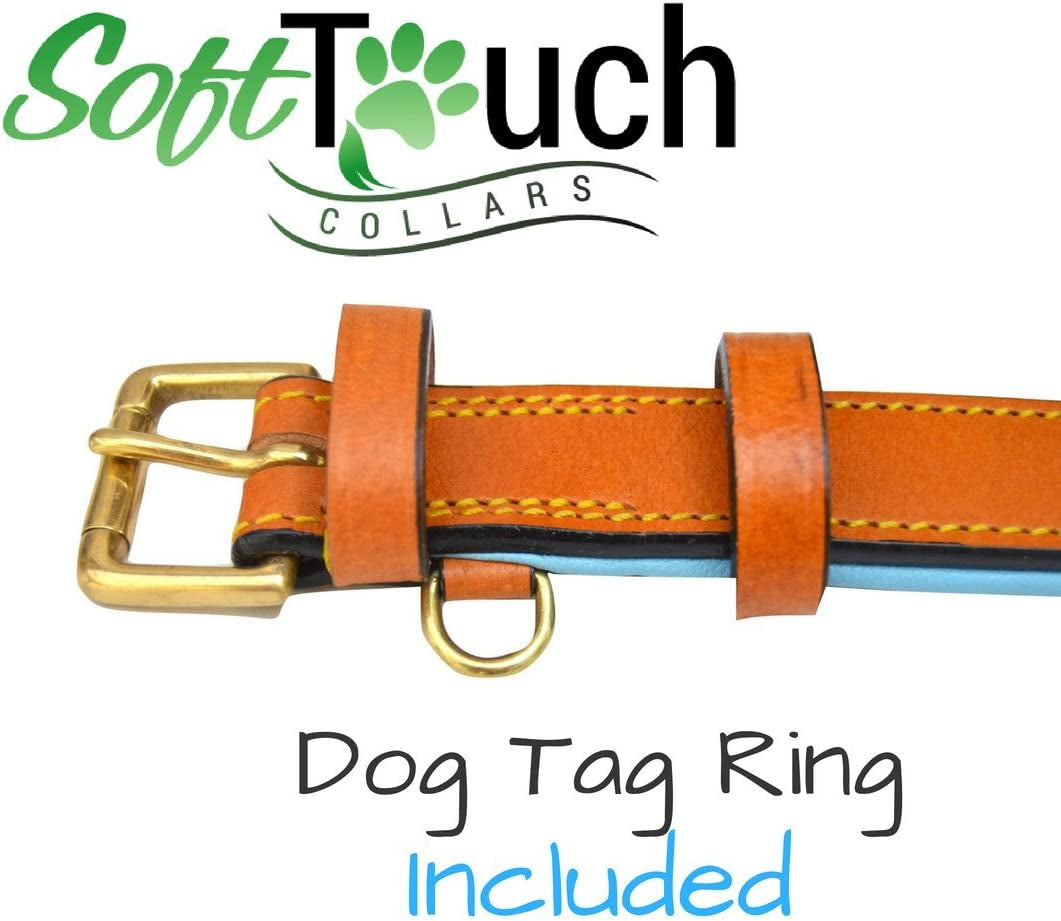 - Luxury Real Leather Padded Dog Collar