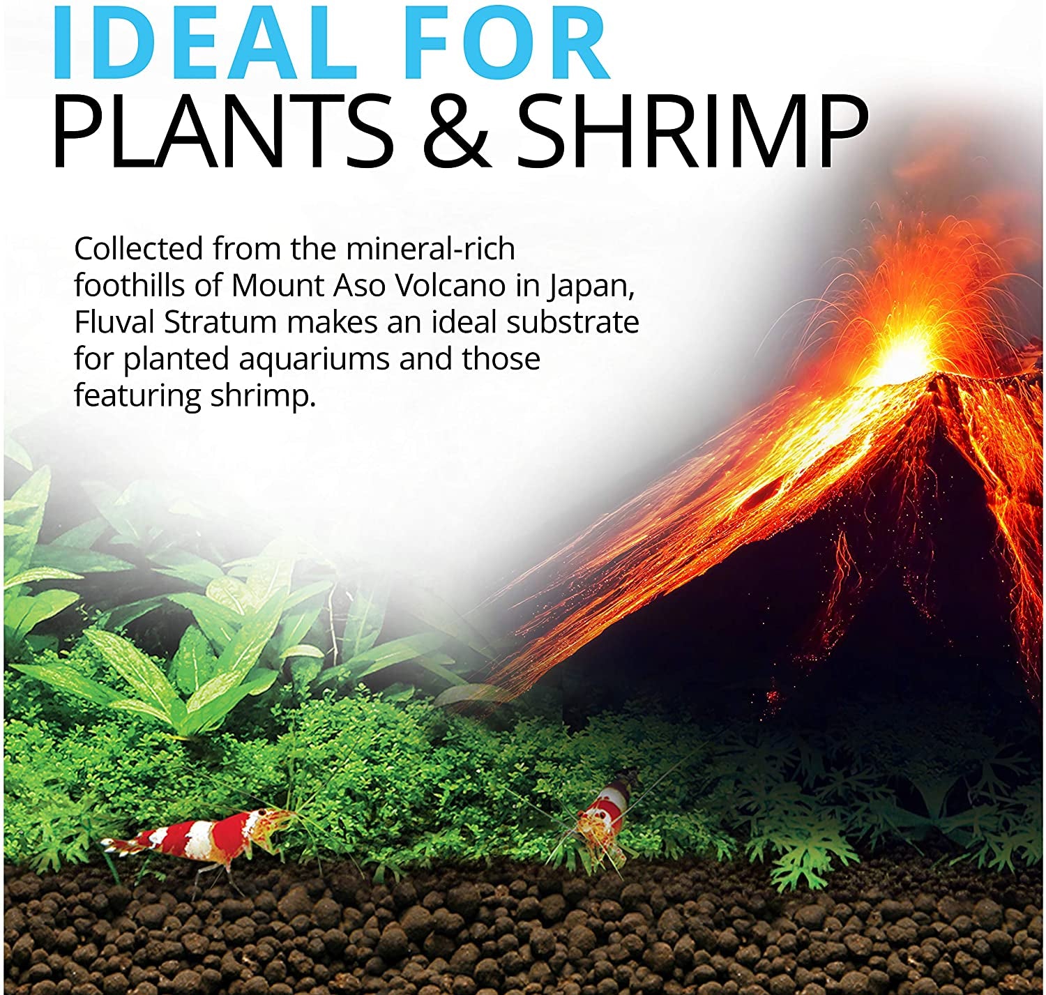 12694 Plant and Shrimp Stratum for Freshwater Fish Tanks, 8.8 Lbs. - Encourages Strong Plant Growth, Supports Neutral to Slightly Acidic Ph