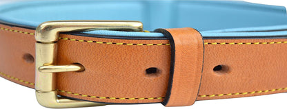 - Luxury Real Leather Padded Dog Collar